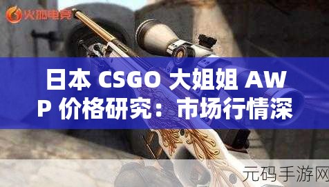 日本 CSGO 大姐姐 AWP 价格研究：市场行情深度探讨