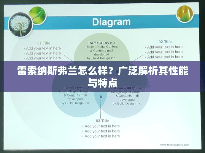 雷索纳斯弗兰怎么样？广泛解析其性能与特点