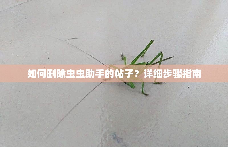 如何删除虫虫助手的帖子？详细步骤指南